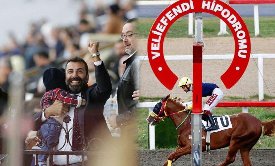 Kuda ras Arab Emre Karayel telah menggemparkan arena pacuan kuda!